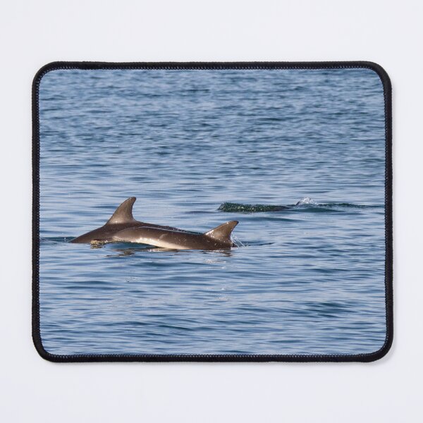Item preview, Dolphins in Wellington Harbour designed and sold by shadowsanddust.