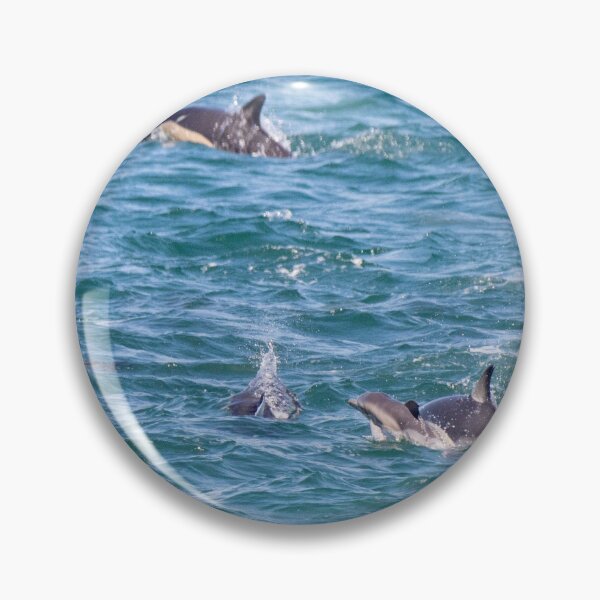 Item preview, Manada de delfines en el puerto de Wellington (con delfín bebé) designed and sold by shadowsanddust.