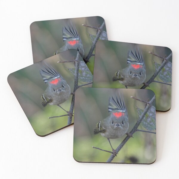 Item preview, Ruby Crowned Kinglet of Smite designed and sold by tracyam.