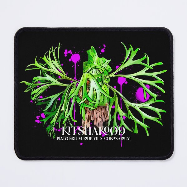 Item preview, PLATYCERIUM KITSHAKOOD T SHIRT designed and sold by MYPLANTEES.