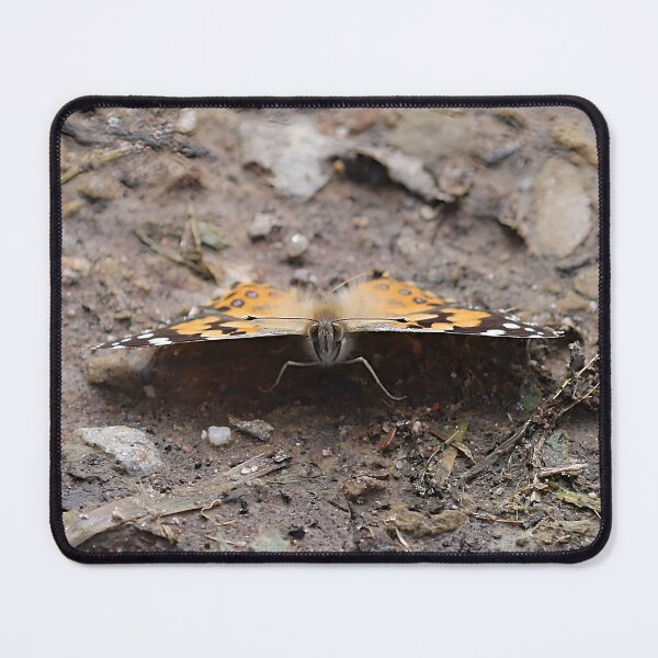 Item preview, The Eyes Have It! - Painted Lady Butterfly designed and sold by Linda Simpson.