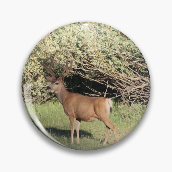 Item preview, Buck Deer designed and sold by Backyardtrail.