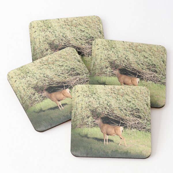 Item preview, Buck Deer designed and sold by Backyardtrail.