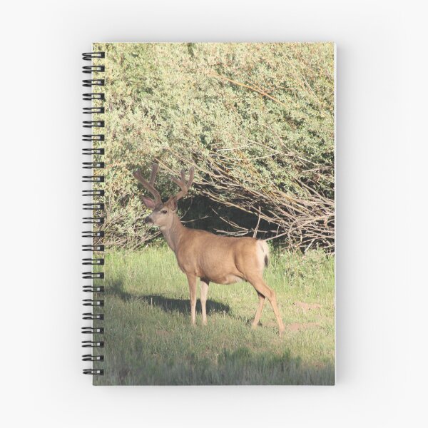 Item preview, Buck Deer designed and sold by Backyardtrail.