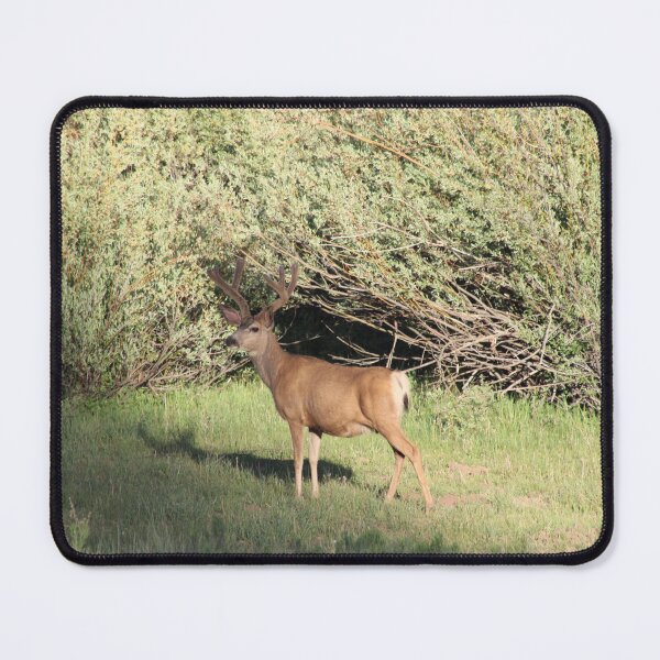 Item preview, Buck Deer designed and sold by Backyardtrail.