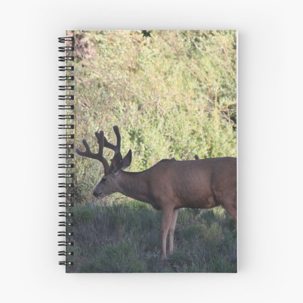Item preview, Deer! designed and sold by Backyardtrail.