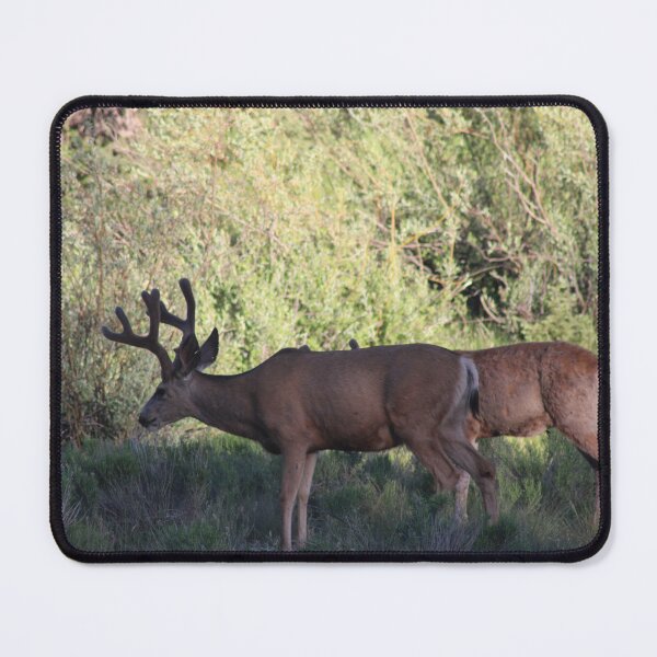 Item preview, Deer! designed and sold by Backyardtrail.