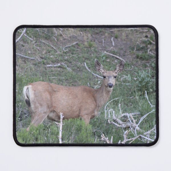 Item preview, Deer! designed and sold by Backyardtrail.