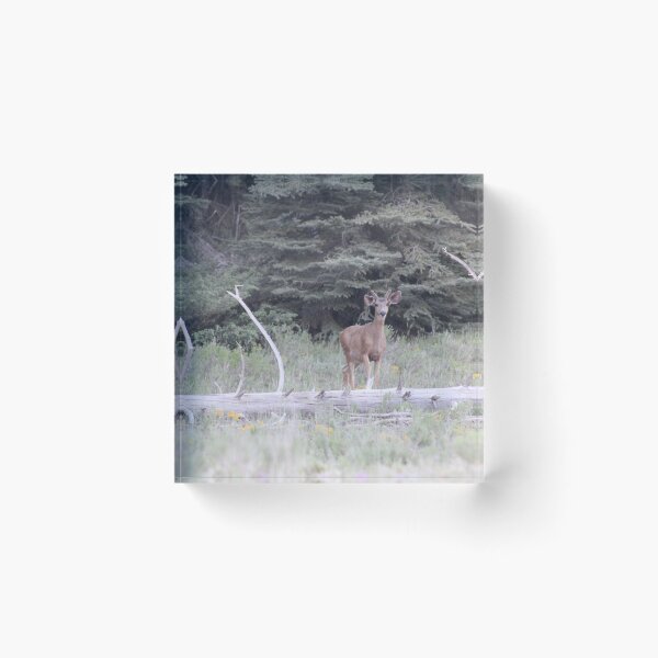 Item preview, Deer! designed and sold by Backyardtrail.
