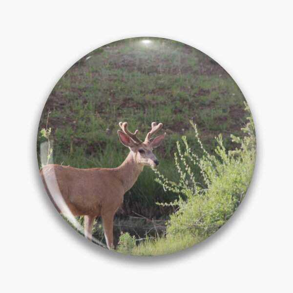 Item preview, Deer! designed and sold by Backyardtrail.