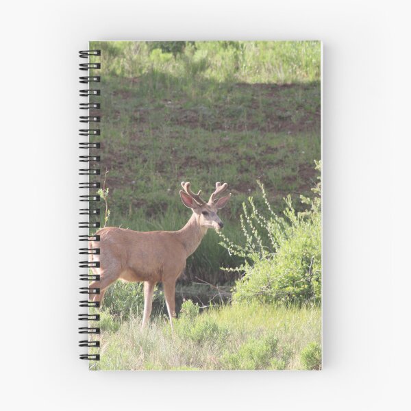 Item preview, Deer! designed and sold by Backyardtrail.