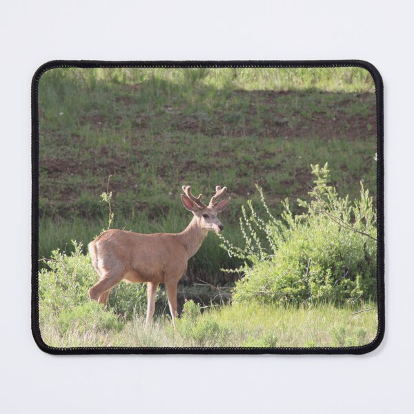 Item preview, Deer! designed and sold by Backyardtrail.