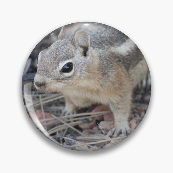 Item preview, Chipmunk designed and sold by Backyardtrail.