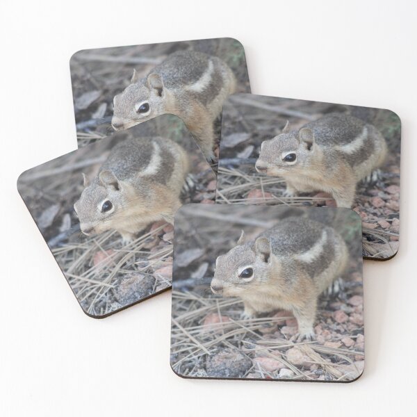 Item preview, Chipmunk designed and sold by Backyardtrail.