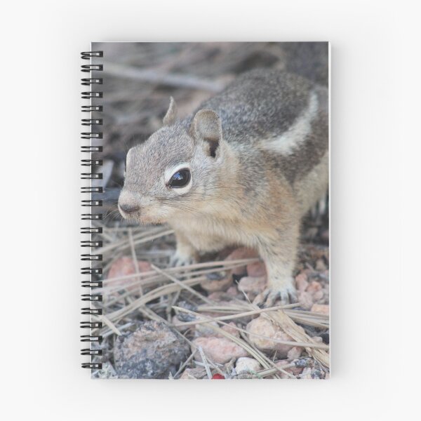Artikelvorschau, Chipmunk entworfen und verkauft von Backyardtrail.