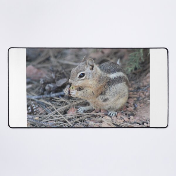 Item preview, Chipmunk designed and sold by Backyardtrail.