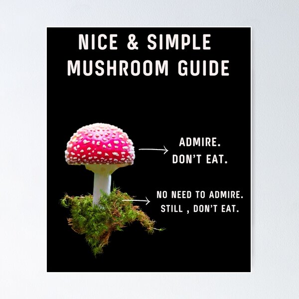 Item preview, Nice & Simple Mushroom Guide for Shroom Hunter Fungi Lover Essential T-shirt designed and sold by MAGness.