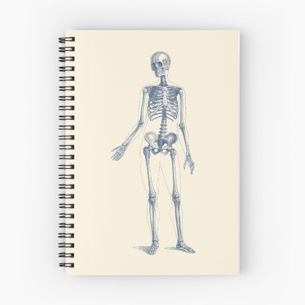 Item preview, Full Body Skeleton designed and sold by VAposters.