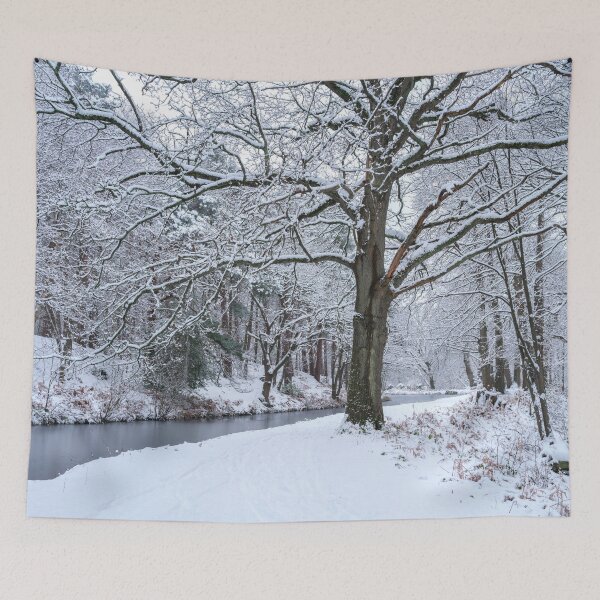 Item preview, Snowy Forest Canal designed and sold by assaf.