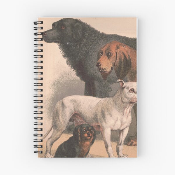 Item preview, Vintage Dog Breeds Illustration (1874) designed and sold by BravuraMedia.
