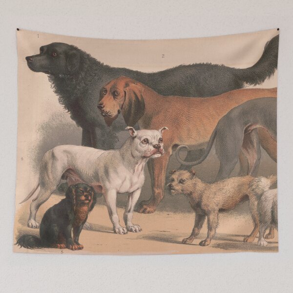 Item preview, Vintage Dog Breeds Illustration (1874) designed and sold by BravuraMedia.