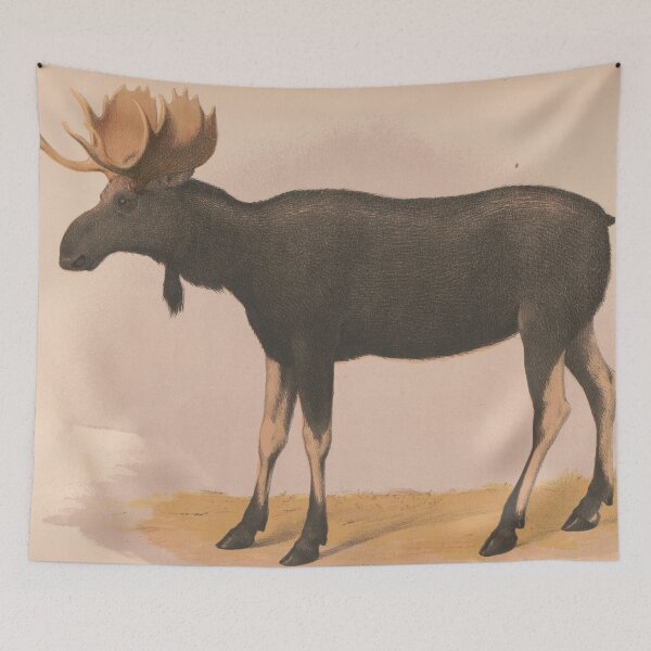 Item preview, Vintage Illustration of a Moose (1874) designed and sold by BravuraMedia.