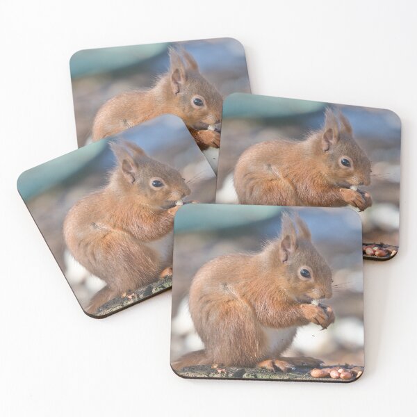 Item preview, Scottish Red squirrel ..Lossiemouth designed and sold by Derren Jones.