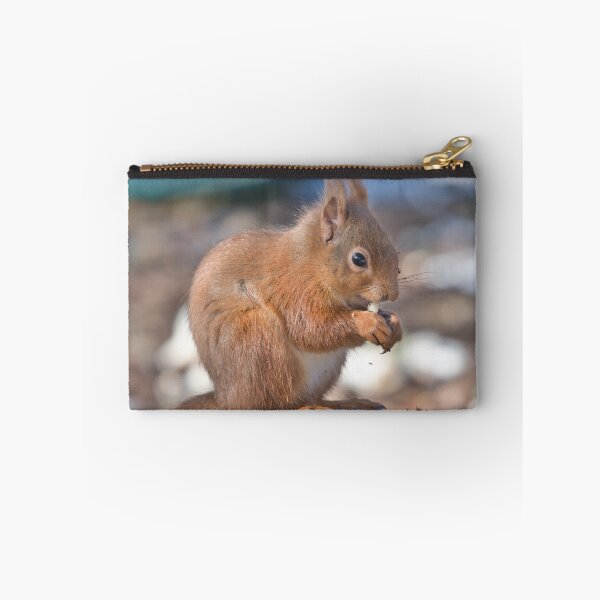 Item preview, Scottish Red squirrel ..Lossiemouth designed and sold by Derren Jones.