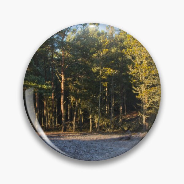 Item preview, Low winter sun Caledonian Pine Forest ,Lossiemouth designed and sold by Derren Jones.