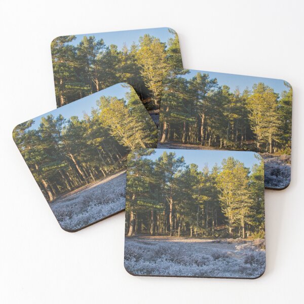 Item preview, Low winter sun Caledonian Pine Forest ,Lossiemouth designed and sold by Derren Jones.