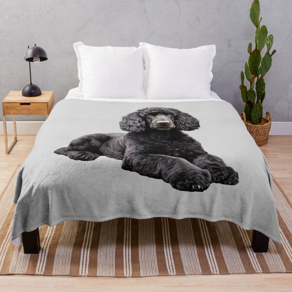 Item preview, Serene Black Poodle Lying Down Pet Illustration designed and sold by solrevolver.