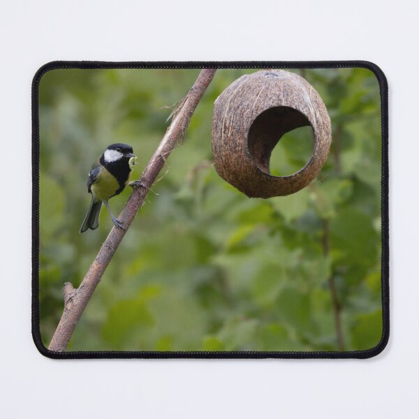 Item preview, Great Tit designed and sold by Calidris Fotografie Steffi & Ben Köppler.