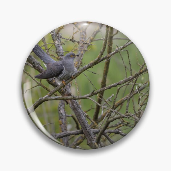 Item preview, Cuckoo designed and sold by Calidris Fotografie Steffi & Ben Köppler.