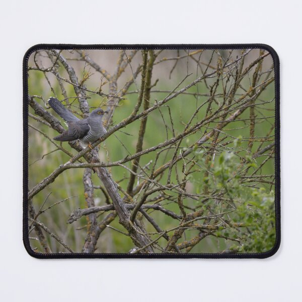 Item preview, Cuckoo designed and sold by Calidris Fotografie Steffi & Ben Köppler.