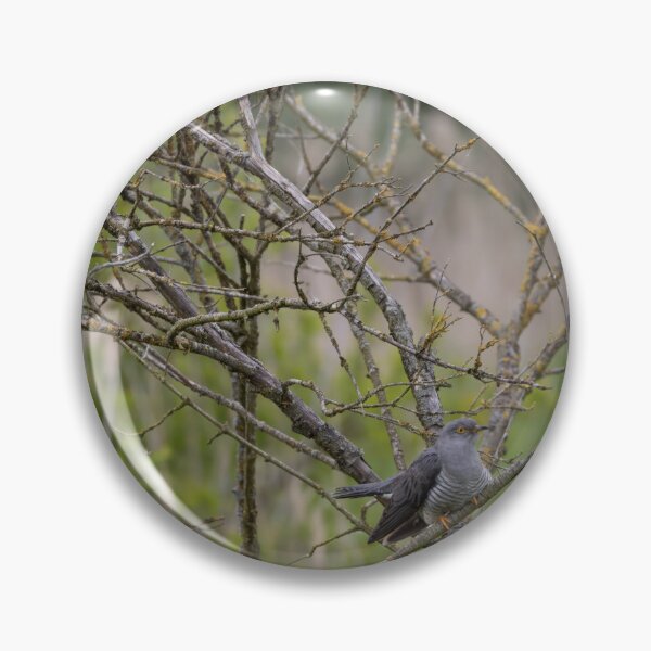 Item preview, Cuckoo designed and sold by Calidris Fotografie Steffi & Ben Köppler.