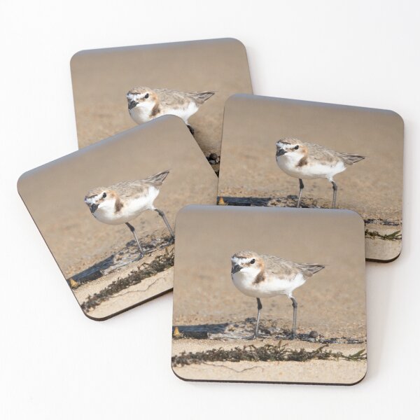 Item preview, Red-capped Plover designed and sold by Matt Vickery.