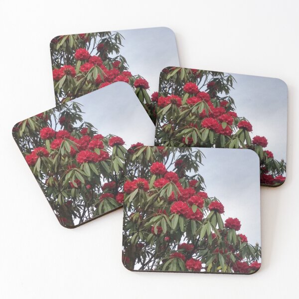 Aperçu de l'œuvre Rhododendrons rouges, Darjeeling créée et vendue par iamantara.