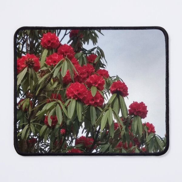 Item preview, Red Rhododendrons, Darjeeling designed and sold by iamantara.