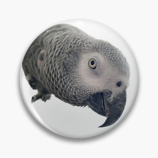 Item preview, African Gray Parrot designed and sold by tracyam.