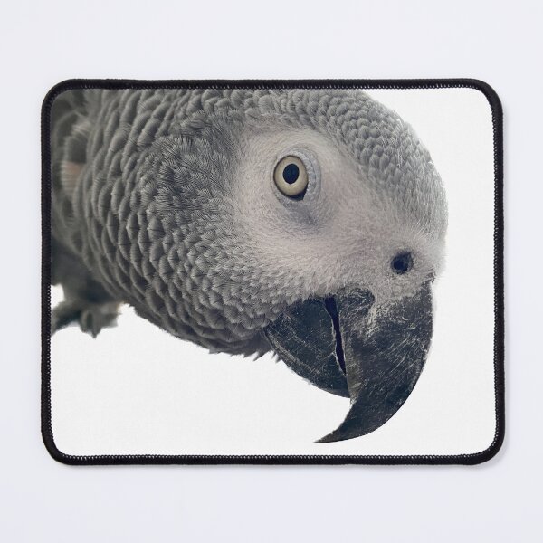Item preview, African Gray Parrot designed and sold by tracyam.
