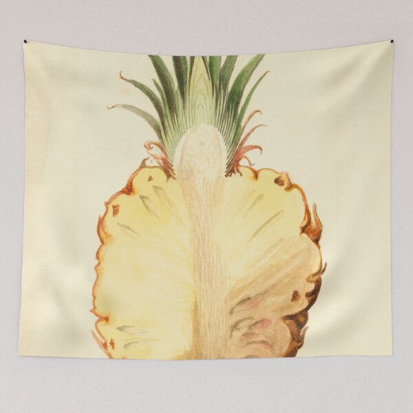 Item preview, Pineapple Sliced in Half Vintage Illustration  designed and sold by BravuraMedia.