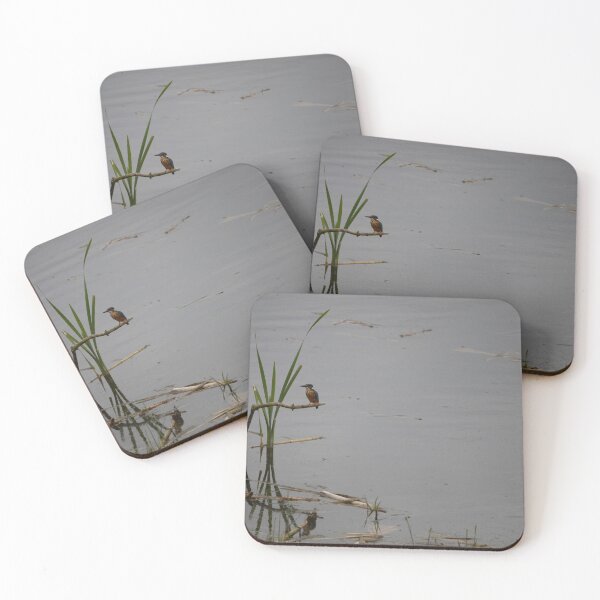 Item preview, Kingfisher designed and sold by Calidris Fotografie Steffi & Ben Köppler.