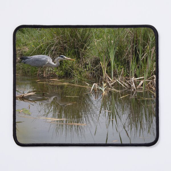 Item preview, Grey Heron designed and sold by Calidris Fotografie Steffi & Ben Köppler.