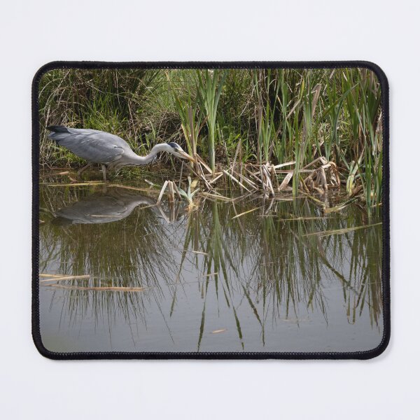 Item preview, Grey Heron designed and sold by Calidris Fotografie Steffi & Ben Köppler.