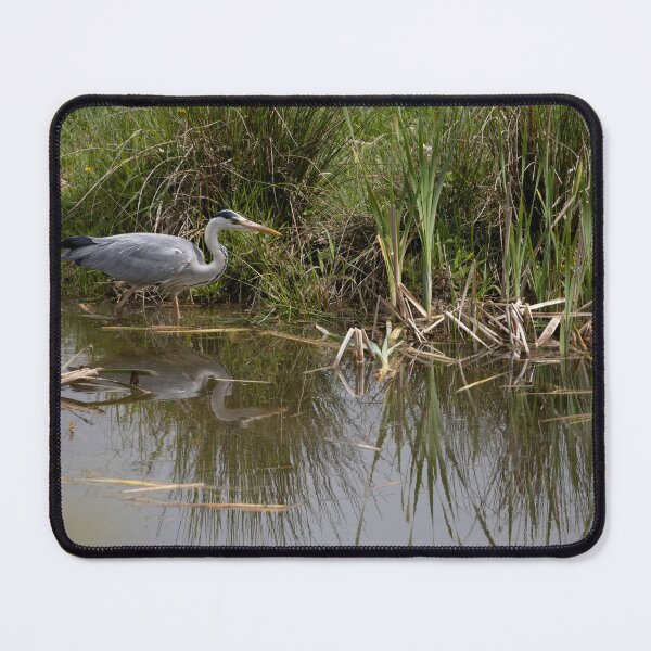 Item preview, Grey Heron designed and sold by Calidris Fotografie Steffi & Ben Köppler.