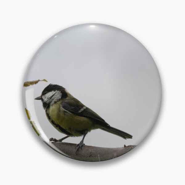 Item preview, Great Tit designed and sold by Calidris Fotografie Steffi & Ben Köppler.