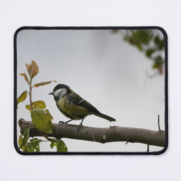 Item preview, Great Tit designed and sold by Calidris Fotografie Steffi & Ben Köppler.