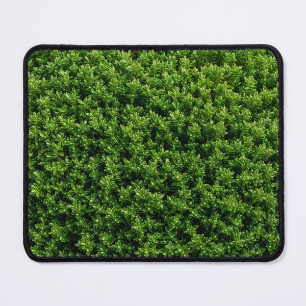 Item preview, "Evergreen Elegance: Enchanting Views of Boxwood Shrubs" designed and sold by hjian8219.