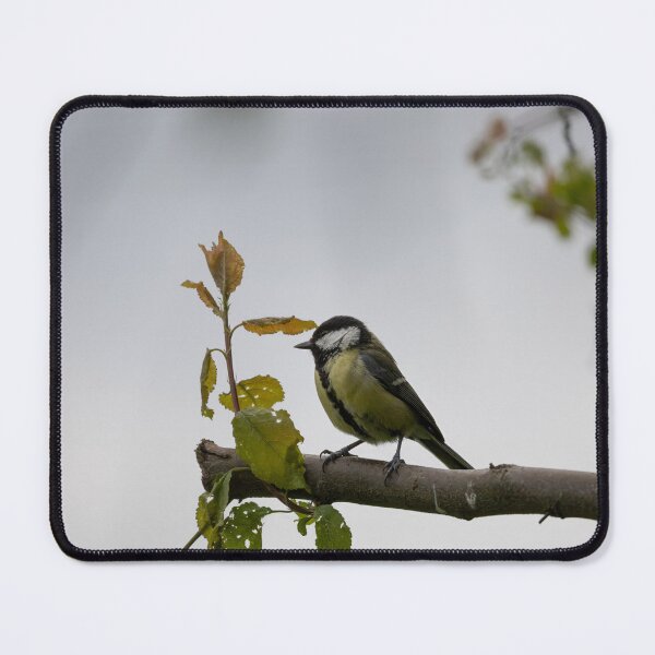 Item preview, Great Tit designed and sold by Calidris Fotografie Steffi & Ben Köppler.