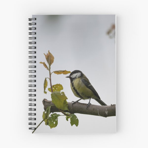 Item preview, Great Tit designed and sold by Calidris Fotografie Steffi & Ben Köppler.